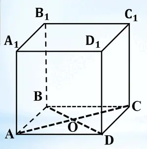 06001rkp-7a46-299x303.png