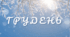 Читацький челендж. Місяці.  Грудень