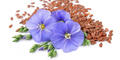 06001t96-ab9c-120x60.jpg