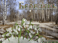 06001u9d-6978-120x90.gif