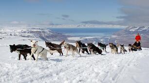 Самостійна робота з теми: "Механічна робота, потужність, закон збереження енергії" Варіант 2