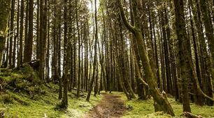  Nature and the environment