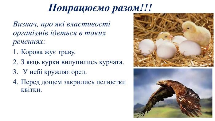 Попрацюємо разом!!!Визнач, про які властивості організмів ідеться в таких реченнях: Корова жує траву. З яєць курки вилупились курчата. У небі кружляє орел. Перед дощем закрились пелюстки квітки.
