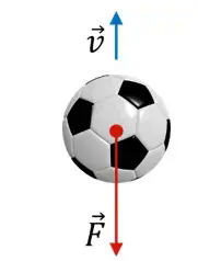 06001yvm-e479-181x238.png
