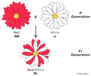 0600299v-df57-305x255.png