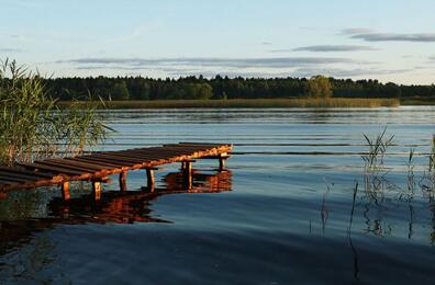06002afr-8a88-396x260.jpg