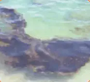 06002b0n-01db-226x204.png