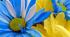 Україна в наших серцях