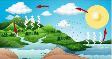 06002by0-5578-380x202.png