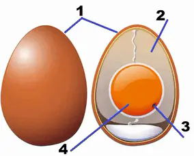 06002c5x-ec8e-211x170.png