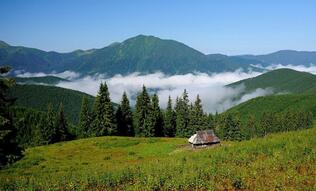 Гори Карпати - велика гірська система в Центрально-Східній Європі ...