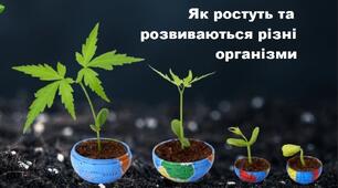 Як ростуть та розвиваються різні організми