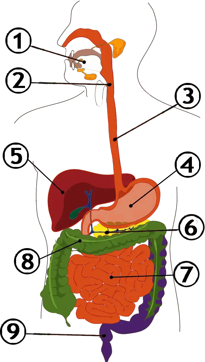 06002gj6-228e-893x1280.png