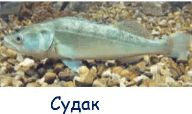 06002hx8-0211-393x234.png