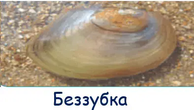 06002hxw-061f-394x224.png