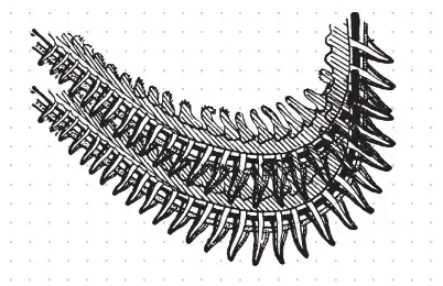 06002jyz-c52a-402x260.png