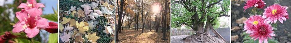 06002k8d-5d37-940x139.jpg