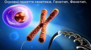 10Б Сучасні молекулярно-генетичні методи досліджень спадковості людини