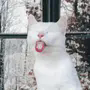 https://fs06.vseosvita.ua/06002lvj-baae-90x90.png