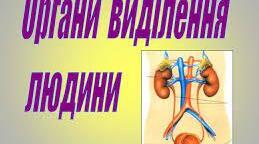 Самостійна робота з теми "Виділення"