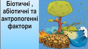 Екологічні чинники, їх класифікація. Закономірності екологічного впливу екологічних чинників