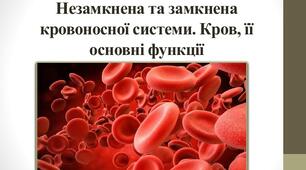 7 клас. Практична робота №4. Порівняння будови  кровоносної системи хребетних тварин.