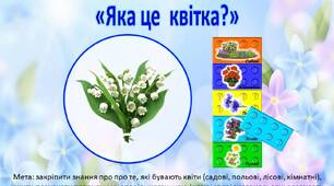 Дидактична гра з lego «Яка це квітка?»