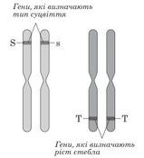06002tb7-f802-159x174.jpg