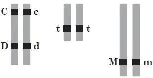 06002tgi-39d7-309x157.png
