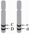 06002tnb-d09c-112x130.png
