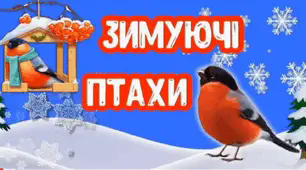 Відео заняття ознайомлення з природнім довкіллям « Зимуючі птахи»