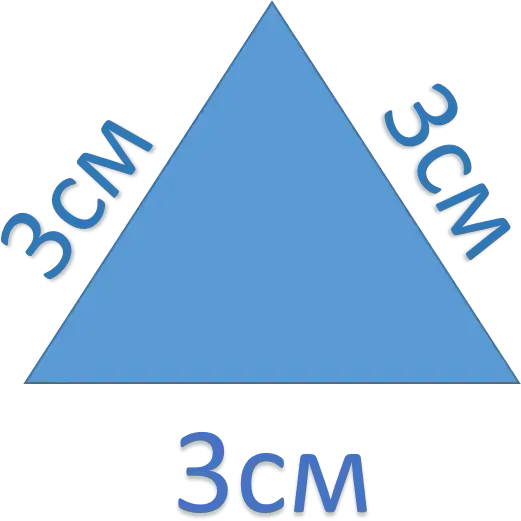 06002w5a-66b4-736x653.png