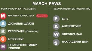 Тест. Алгоритм «MARCH». 