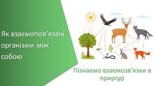 Тест з уроку Пізнаємо природу для 6 класу на тему «Як взаємопов’язані організми між собою»