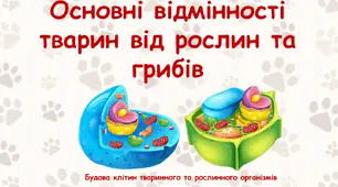 Основні відмінності тварин від рослин та грибів.