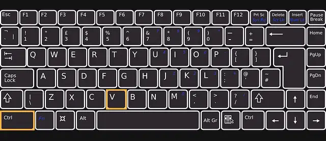 Use The Keyboard (Ctrl + V) to Paste