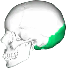 060031ld-9f76-250x250.png