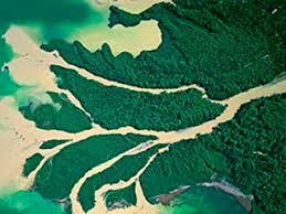 0600348z-2ff3-259x194.jpg