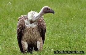 060034d9-7d7f-281x179.jpg