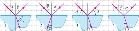 060034nt-9c82-538x122.png