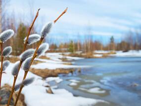 060034ro-63bc-285x214.jpg