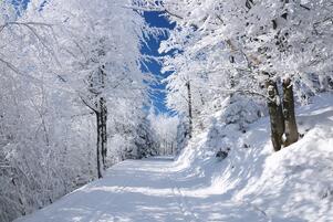 060034s0-38e0-301x201.jpg