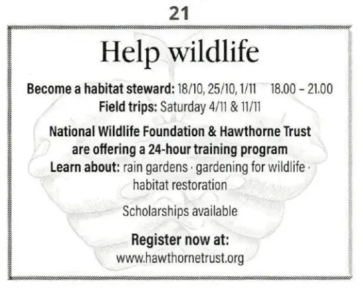 060036st-bdf7-527x429.png
