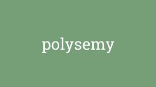 Презентація:"THE POLYSEMY IN THE ENGLISH LANGUAGE"