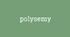 Презентація:"THE POLYSEMY IN THE ENGLISH LANGUAGE"