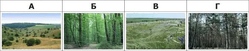 Природні зони України