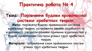 Практична робота №4 Порівняння будови кровоносної системи хребетних тварин.