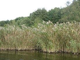 06003b3c-46a5-275x206.jpg