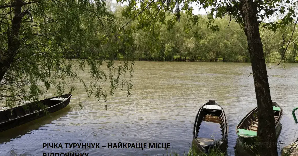 Просте ускладнене речення 11 клас | Конспект. Українська мова
