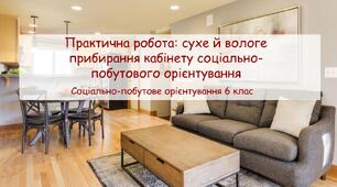 Конспект заняття "Практична робота: сухе й вологе прибирання кабінету соціально-побутового орієнтування " СПО 6 клас